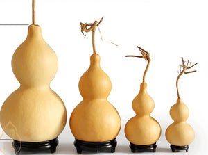 Multi Size Natural Dried Gourds Craft Calabash Gourd Plant Gourd/Dried Lagenaria siceraria
